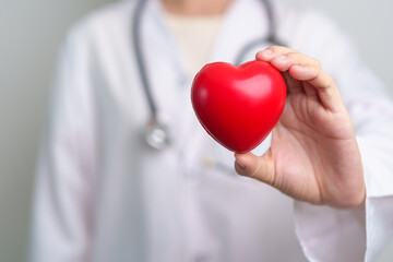 Doctor hand holding red heart shape in hospital. love, donor, world heart day, world health day, CSR donation and Insurance concepts