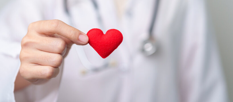 Doctor hand holding red heart shape in hospital. love, donor, world heart day, world health day, CSR donation and Insurance concepts - Powered by Adobe