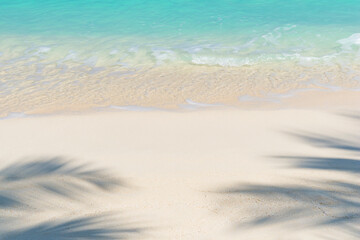 Fototapeta na wymiar Tropical beach with white sand, sea and palm leaf shadows