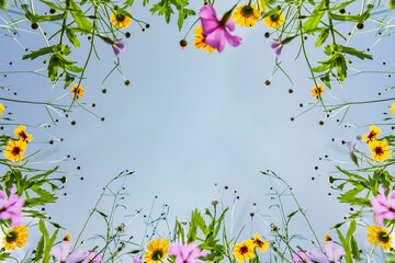 Rahmen aus Wiesenblumen von unten fotografiert