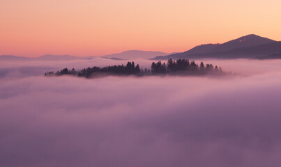 Sea fog in the pink light is very beautiful and fabulous, picturesque vague wave rolled on the...