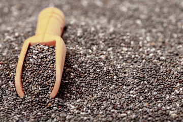 Chia seeds close-up with a wooden spoon. Chia seeds macro. Dry healthy supplement for proper nutrition.
