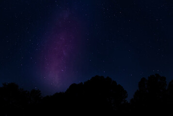 Trees silhouetted by the stars and Milky Way