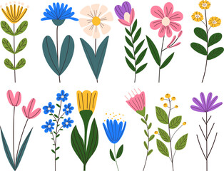 floral set in doodle style isolated, vector