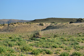 Plakat landscape of the sand dunes and mountains