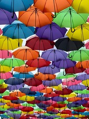 Farbige Regenschirme