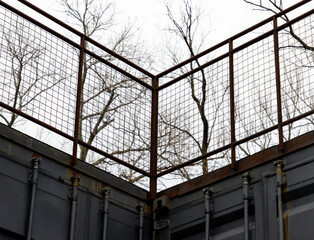 tree branches and metal mesh against a gray sky