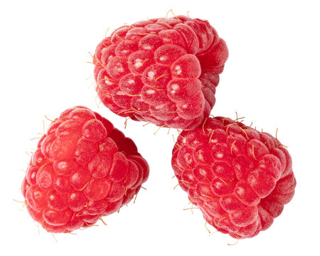 ripe raspberry on transparent background. png file