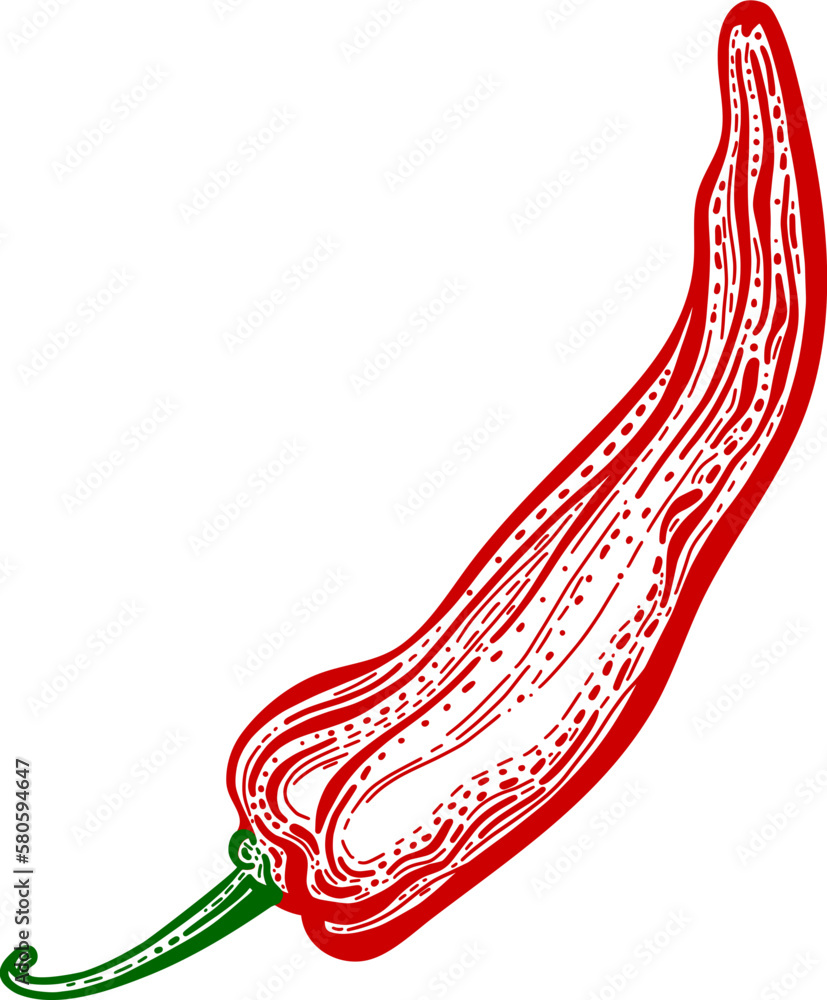 Wall mural Chili pepper. Hot spicy. Vegetable engraved illustration. Vegetarian food, red paprika