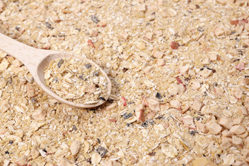 Oat flakes with dried fruits and berries with wooden spoon