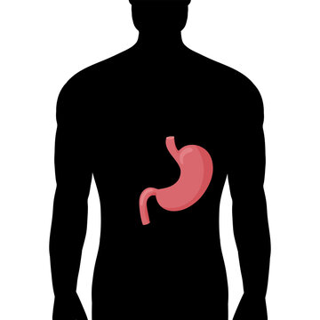 human silhouette with red stomach clip art preview