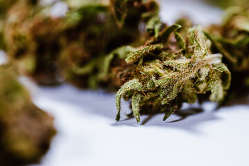 marijuana, cbd, illegal product, psychotropic, thc, green, ganja, ecological, medicinal product