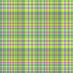 Vector fabric pattern. Textile seamless texture. Tartan background plaid check.