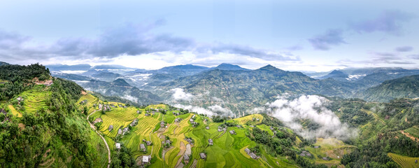  Paddy rice terraces with ripe yellow rice. Agricultural fields in countryside area of Hoang Su...