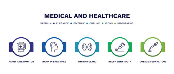 set of medical and healthcare thin line icons. medical and healthcare outline icons with infographic template. linear icons such as heart rate monitor, brain in bald male head, thyroid gland, brush