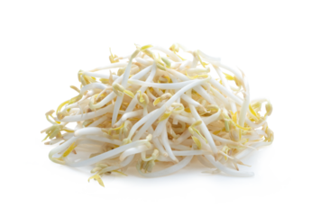 bean sprout on transparent png