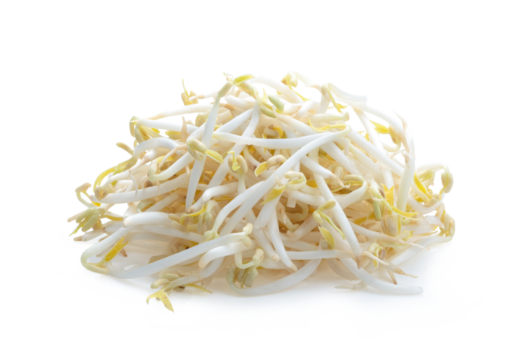 bean sprout on transparent png