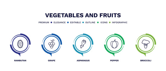 set of vegetables and fruits thin line icons. vegetables and fruits outline icons with infographic template. linear icons such as rambutan, grape, asparagus, pepper, broccoli vector.