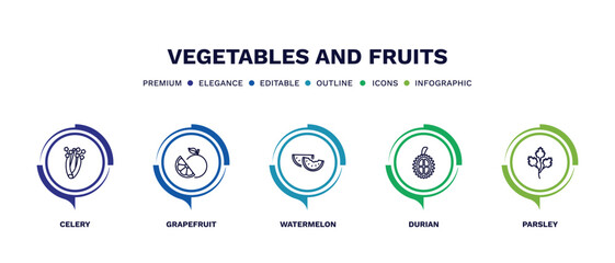 set of vegetables and fruits thin line icons. vegetables and fruits outline icons with infographic template. linear icons such as celery, grapefruit, watermelon, durian, parsley vector.