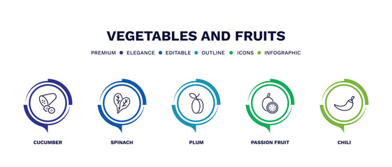 set of vegetables and fruits thin line icons. vegetables and fruits outline icons with infographic template. linear icons such as cucumber, spinach, plum, passion fruit, chili vector.