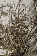 Dried grass bouquet. Shadows on the wall. Silhouette in sun light