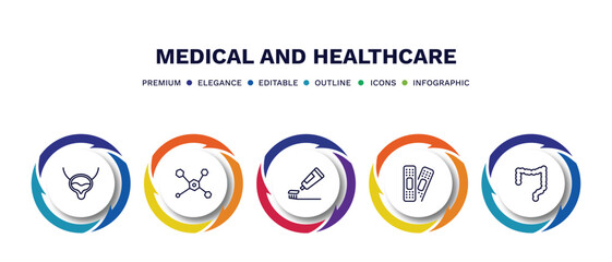 set of medical and healthcare thin line icons. medical and healthcare outline icons with infographic template. linear icons such as bladder, molecular structure, brush with tooth paste, plastering,