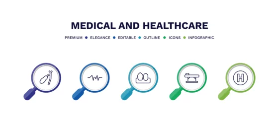 Foto op Plexiglas set of medical and healthcare thin line icons. medical and healthcare outline icons with infographic template. linear icons such as gallbladder, pulse line, canine, table of treatments, heliport © Abstract
