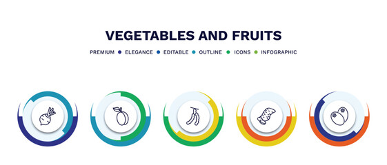 set of vegetables and fruits thin line icons. vegetables and fruits outline icons with infographic template. linear icons such as beetroot, apricot, tamarind, sweet potato, breast milk fruit vector.