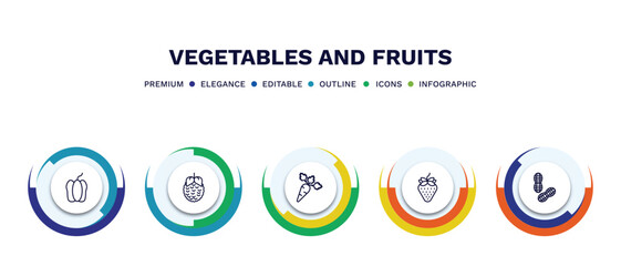 set of vegetables and fruits thin line icons. vegetables and fruits outline icons with infographic template. linear icons such as bell pepper, raspberry, carrot, strawberry, peanut vector.