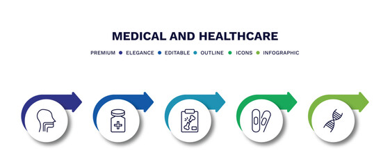 set of medical and healthcare thin line icons. medical and healthcare outline icons with infographic template. linear icons such as pharynx, cure, x ray of bones, bandage cross, medical chain of dna