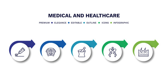 set of medical and healthcare thin line icons. medical and healthcare outline icons with infographic template. linear icons such as brush with tooth paste, sternum, phary tool, pelvic area, dermis