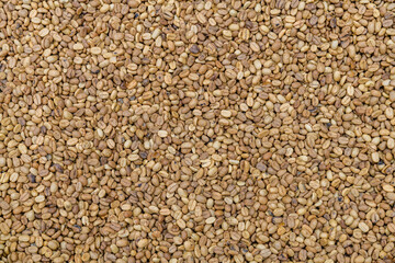 Background of coffee beans. Natural pattern