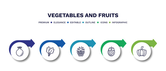 set of vegetables and fruits thin line icons. vegetables and fruits outline icons with infographic template. linear icons such as pomegranate, arugula, blackberry, raspberry, pumpkin vector.