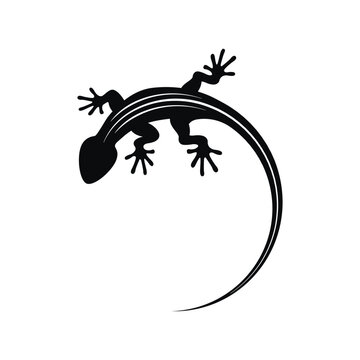 Silhouette of a lizard with stripes on its back