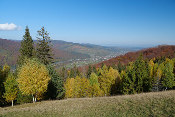 Beautiful autumn forest in Carpathian mountains