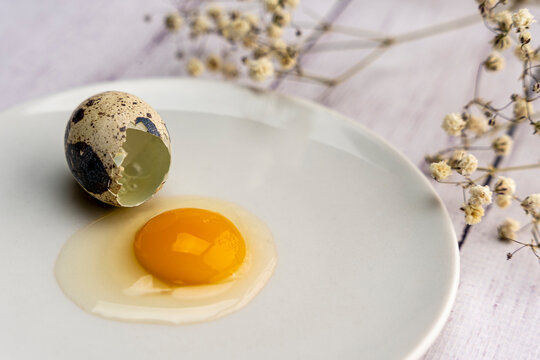 Fresh broken quail egg, yolk and white on a white plate