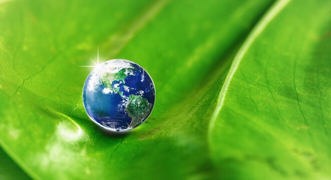 Globe Earth on green leaf, Nature and environment earth day concept, close up top view, Elements of this image furnished by NASA