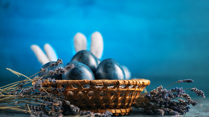 Basket with Easter eggs, bunny ears and lavender flowers. Bright blue background copy space