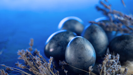 Fototapeta na wymiar Easter blue eggs and lavender flowers, blue bright background copy space