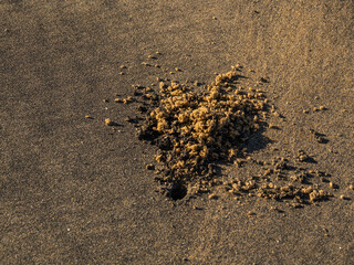 Beautiful sand background. Small, simple, yet powerful