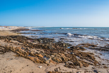 Rocks and seaweed on the sand of Apúlia beach with waves in the sea, Esposende PORTUGAL