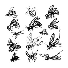 Doodle insects. Collection with spring and summer insects, bugs and bees many species in hand-drawn style  