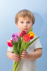 A boy gives a tulip flower. Happy Mother's Day!