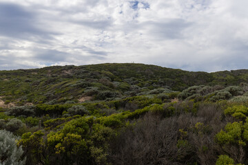 Green hill and overcast sky.