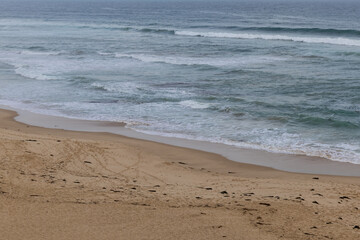 Empty beach with sandy shore.
