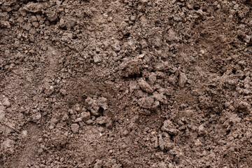 brown earth surface, top view. organic soil texture
