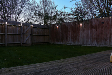 LEDs lighting up the back yard to create a magical, warm effect