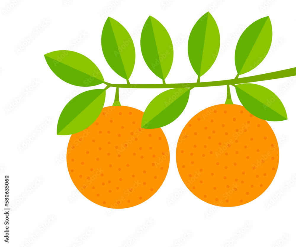Canvas Prints oranges fruits on the branch. orange tree.