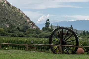 paisaje rural en Cafayate, Salta