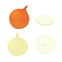 Vector illustration of an onions. These are brown-skinned onions, peeled onions, and sliced onions.